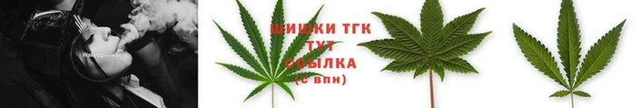spice Баксан