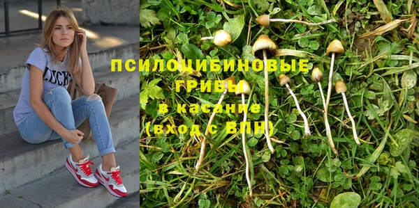 spice Баксан