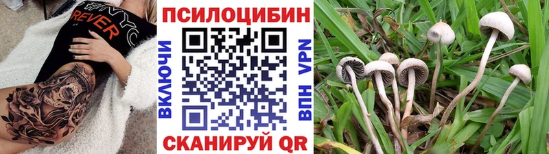 Галлюциногенные грибы Psilocybine cubensis  ОМГ ОМГ рабочий сайт  Кувандык  закладка 